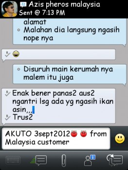 ImageBam image upload