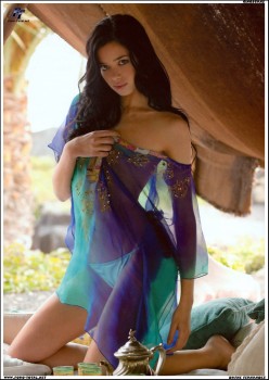 imagebam.com