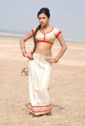 imagebam.com