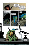 Teenage Mutant Ninja Turtles #16 Teenage Mutant Ninja Turtles #16