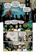 Teenage Mutant Ninja Turtles #14 Teenage Mutant Ninja Turtles #14