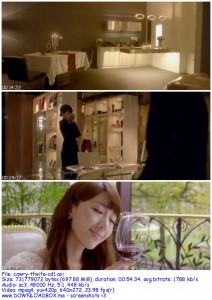 Download The Fierce Wife 2012 DVDRip XviD-CoWRY