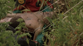 [Kép: 7db83d232184520.jpg]