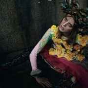 imagebam.com