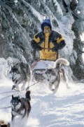 Снежные псы / Snow Dogs (Кьюба Гудинг мл, 2002)  96b2ca237752031