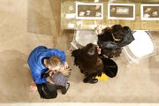 imagebam.com