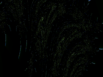 ImageBam image upload