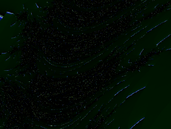 ImageBam image upload