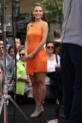 http://thumbnails104.imagebam.com/25666/7c57d5256659123.jpg