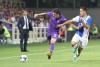 фотогалерея ACF Fiorentina - Страница 7 9b7bea273070939
