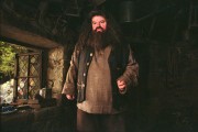 Гарри Поттер и узник Азкабана / Harry Potter and the Prisoner of Azkaban (Уотсон, Гринт, Рэдклифф, 2004) 973952277425545