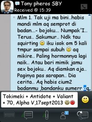 ImageBam image upload