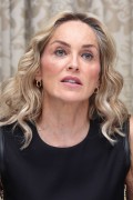 Шэрон Стоун (Sharon Stone) Lovelace Press Conference Portraits at the Four Seasons Hotel in Beverly Hills - August 5 2013 - 27xHQ 08f830287775172