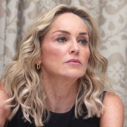 Шэрон Стоун (Sharon Stone) Lovelace Press Conference Portraits at the Four Seasons Hotel in Beverly Hills - August 5 2013 - 27xHQ 137061287775103