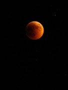 Лунное затмение / Moon Eclipse (14xHQ) 8f792c290983366