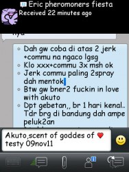 ImageBam image upload