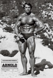  Арнольд Шварценеггер (Arnold Schwarzenegger) - сканы из разных журналов - 3xHQ 5654eb556354263